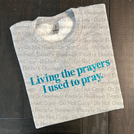 Living the Prayers I used to Pray Embroidered TShirt, Sweatshirt, or Hoodie, Adult