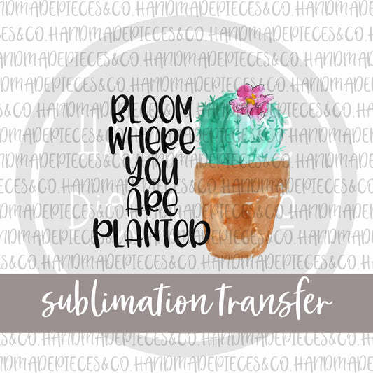 Bloom Where You Are Planted - Sublimation Transfer