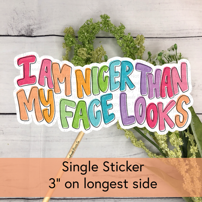 I am Nicer Than My Face Looks  - Vinyl Sticker