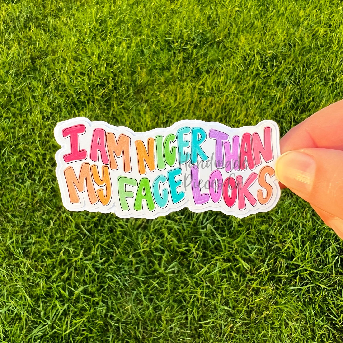 I am Nicer Than My Face Looks  - Vinyl Sticker